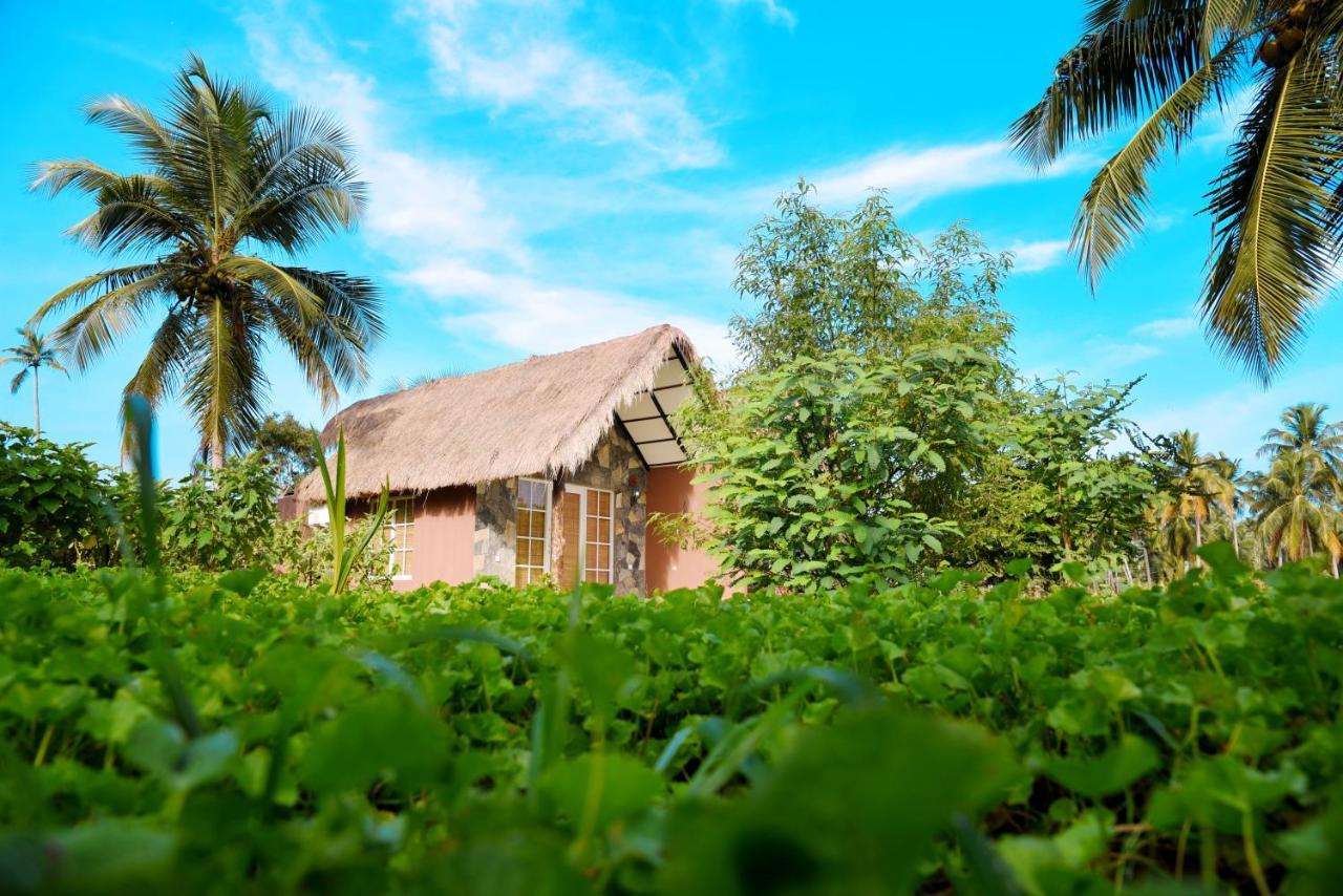 Coco Village Hotel Chilaw Bangadeniya Eksteriør billede
